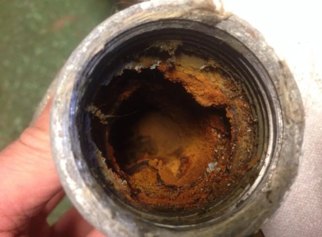 Blocked and root-affected drain pipe removed by Rose Plumbing